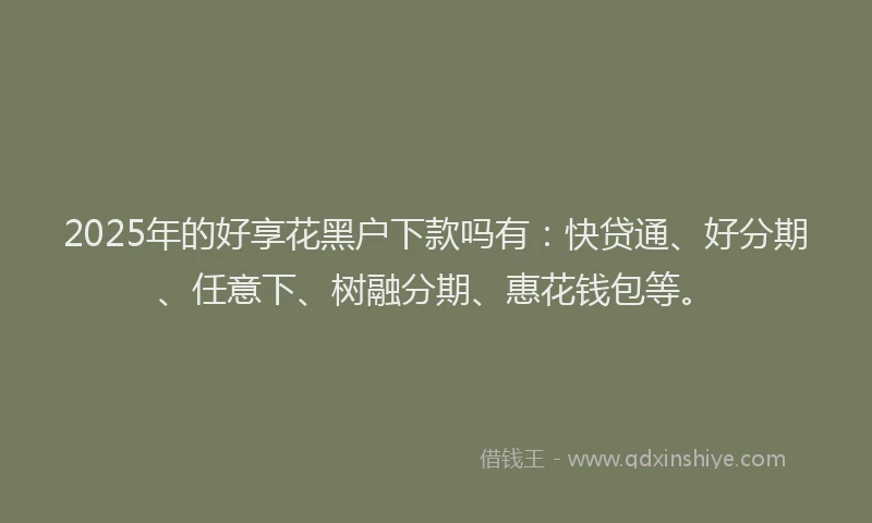 2025年的好享花黑户下款吗有：快贷通、好分期、任意下、树融分期、惠花钱包等。