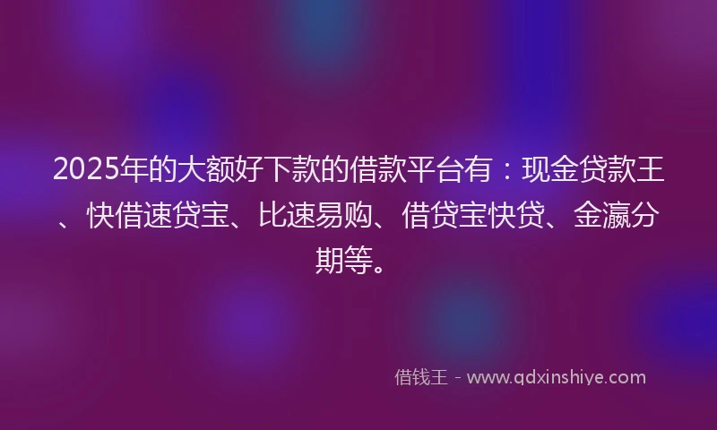 2025年的大额好下款的借款平台有：现金贷款王、快借速贷宝、比速易购、借贷宝快贷、金瀛分期等。