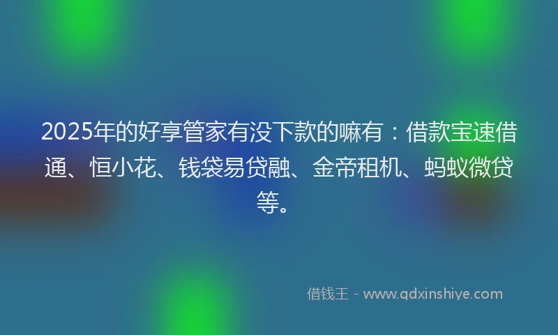 2025年的好享管家有没下款的嘛有：借款宝速借通、恒小花、钱袋易贷融、金帝租机、蚂蚁微贷等。