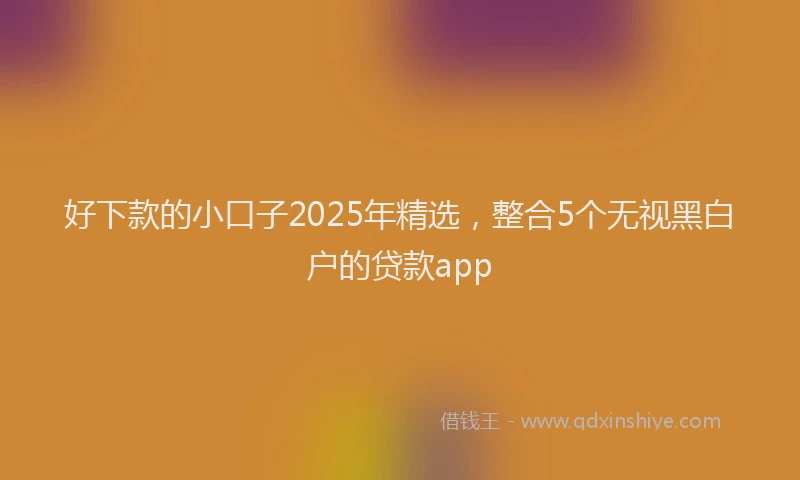 好下款的小口子2025年精选，整合5个无视黑白户的贷款app