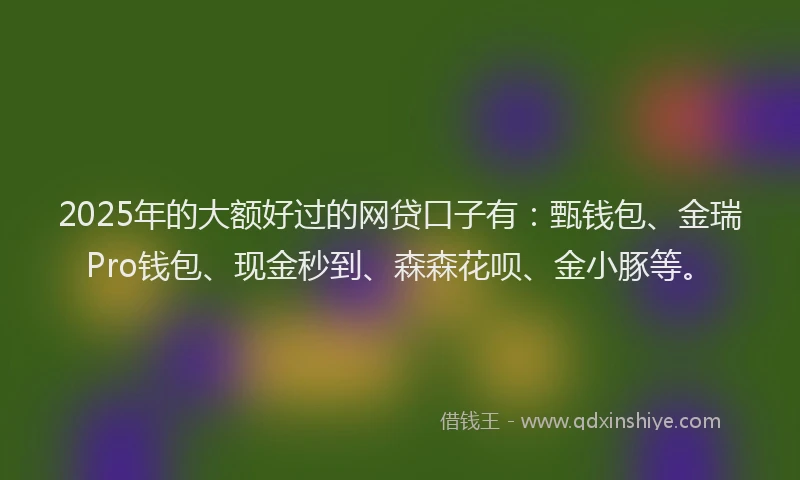 2025年的大额好过的网贷口子有：甄钱包、金瑞Pro钱包、现金秒到、森森花呗、金小豚等。