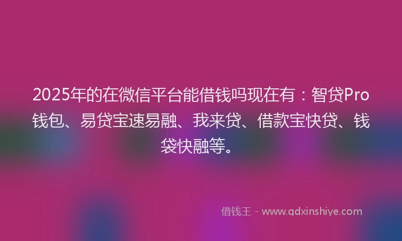 2025年的在微信平台能借钱吗现在有：智贷Pro钱包、易贷宝速易融、我来贷、借款宝快贷、钱袋快融等。