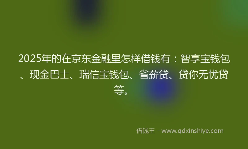 2025年的在京东金融里怎样借钱有：智享宝钱包、现金巴士、瑞信宝钱包、省薪贷、贷你无忧贷等。