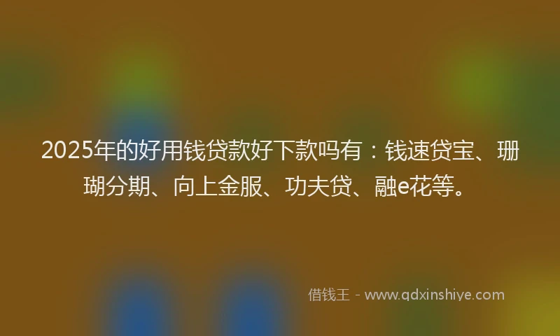 2025年的好用钱贷款好下款吗有：钱速贷宝、珊瑚分期、向上金服、功夫贷、融e花等。