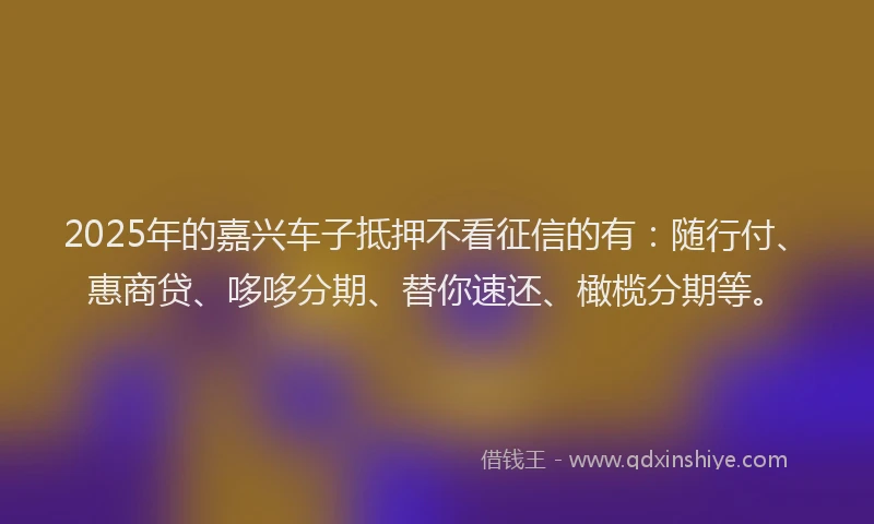 2025年的嘉兴车子抵押不看征信的有：随行付、惠商贷、哆哆分期、替你速还、橄榄分期等。
