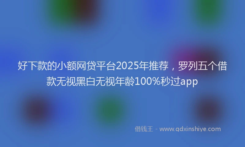好下款的小额网贷平台2025年推荐，罗列五个借款无视黑白无视年龄100%秒过app