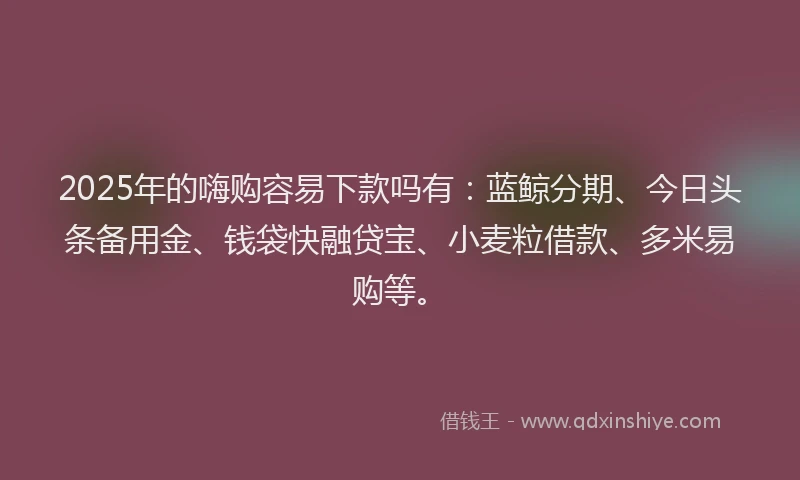 2025年的嗨购容易下款吗有：蓝鲸分期、今日头条备用金、钱袋快融贷宝、小麦粒借款、多米易购等。