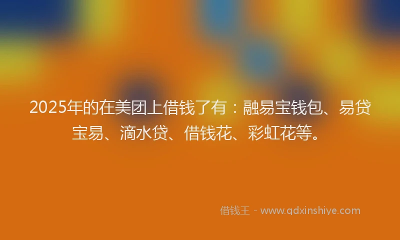 2025年的在美团上借钱了有：融易宝钱包、易贷宝易、滴水贷、借钱花、彩虹花等。