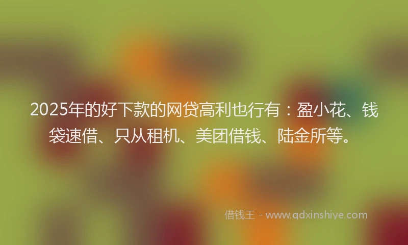2025年的好下款的网贷高利也行有：盈小花、钱袋速借、只从租机、美团借钱、陆金所等。