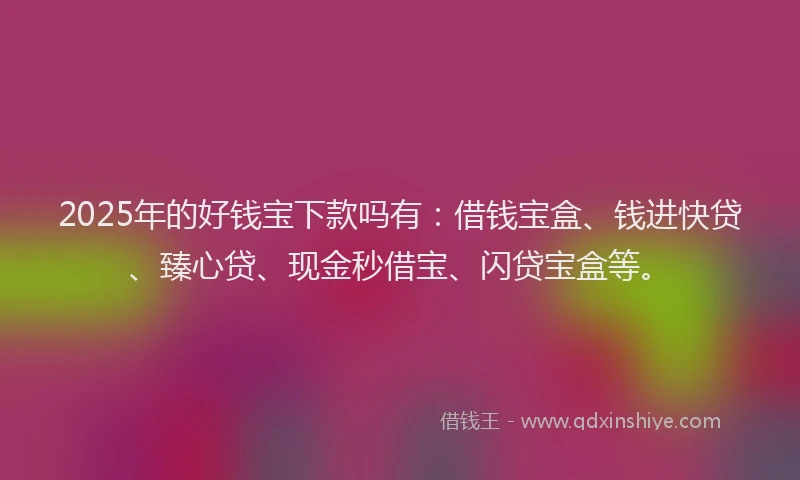 2025年的好钱宝下款吗有：借钱宝盒、钱进快贷、臻心贷、现金秒借宝、闪贷宝盒等。