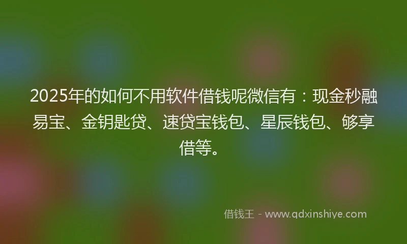 2025年的如何不用软件借钱呢微信有：现金秒融易宝、金钥匙贷、速贷宝钱包、星辰钱包、够享借等。