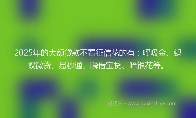2025年的大额贷款不看征信花的有：呼吸金、蚂蚁微贷、易秒通、瞬借宝贷、哈银花等。