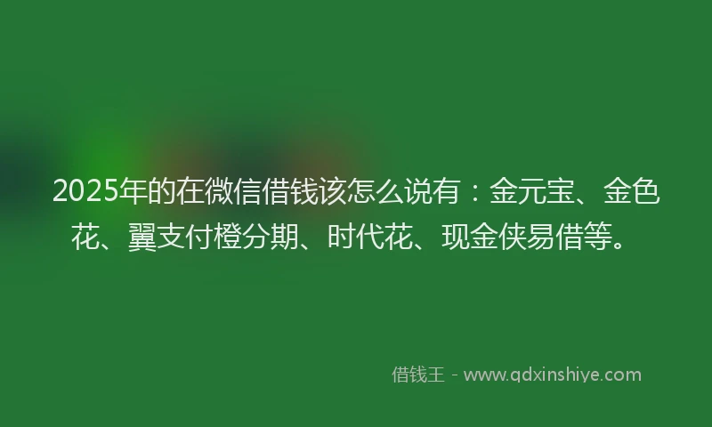2025年的在微信借钱该怎么说有：金元宝、金色花、翼支付橙分期、时代花、现金侠易借等。