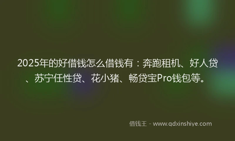 2025年的好借钱怎么借钱有：奔跑租机、好人贷、苏宁任性贷、花小猪、畅贷宝Pro钱包等。