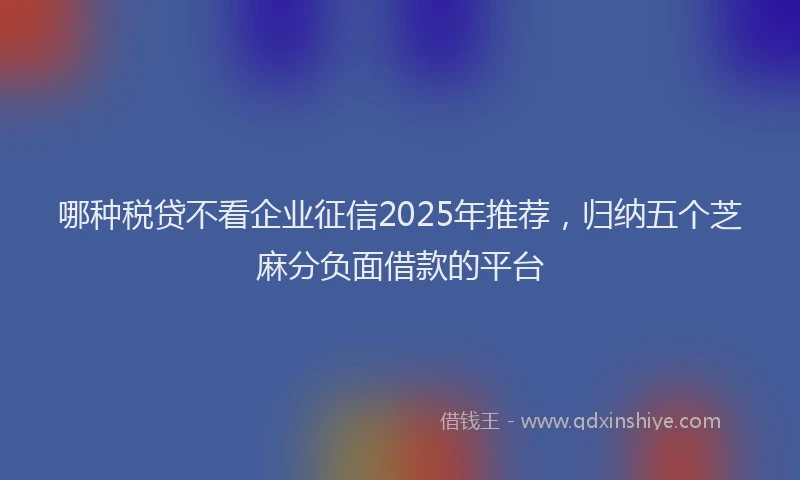 哪种税贷不看企业征信2025年推荐，归纳五个芝麻分负面借款的平台