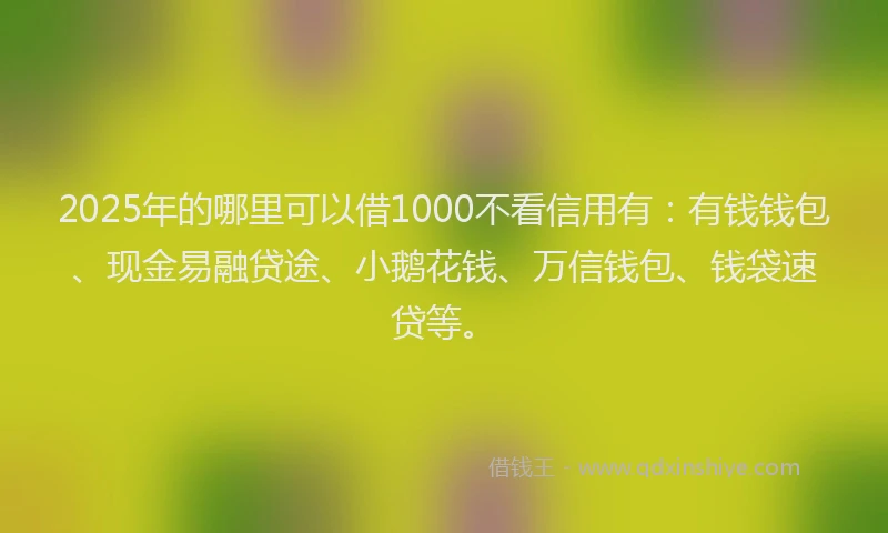 2025年的哪里可以借1000不看信用有：有钱钱包、现金易融贷途、小鹅花钱、万信钱包、钱袋速贷等。