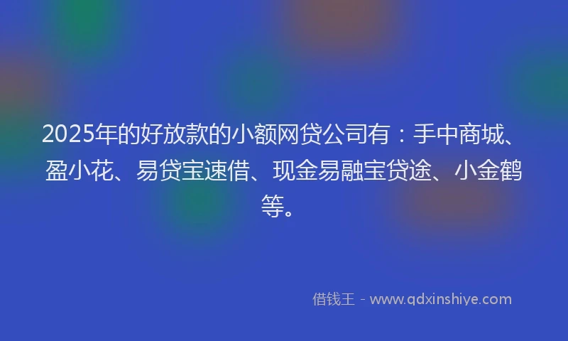 2025年的好放款的小额网贷公司有：手中商城、盈小花、易贷宝速借、现金易融宝贷途、小金鹤等。