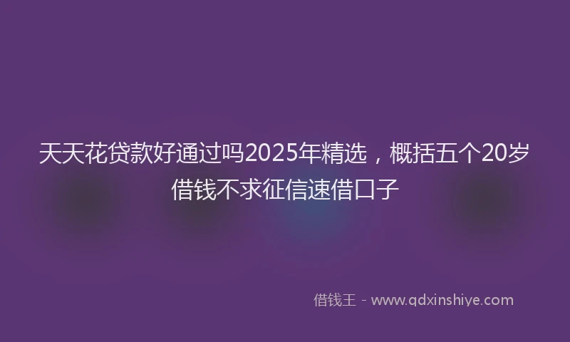 天天花贷款好通过吗2025年精选，概括五个20岁借钱不求征信速借口子