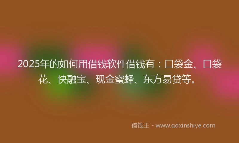 2025年的如何用借钱软件借钱有：口袋金、口袋花、快融宝、现金蜜蜂、东方易贷等。