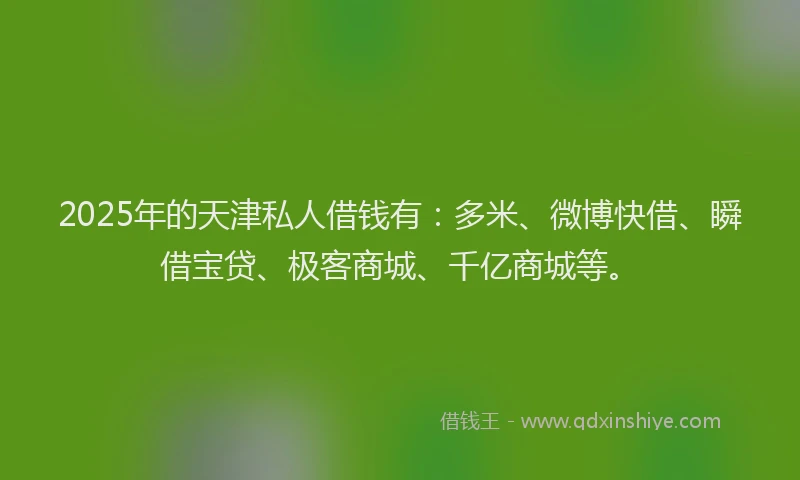 2025年的天津私人借钱有：多米、微博快借、瞬借宝贷、极客商城、千亿商城等。
