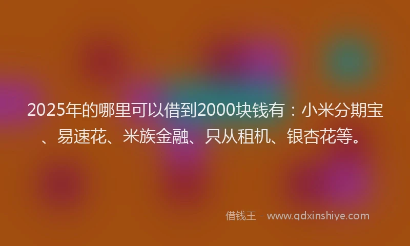 2025年的哪里可以借到2000块钱有：小米分期宝、易速花、米族金融、只从租机、银杏花等。