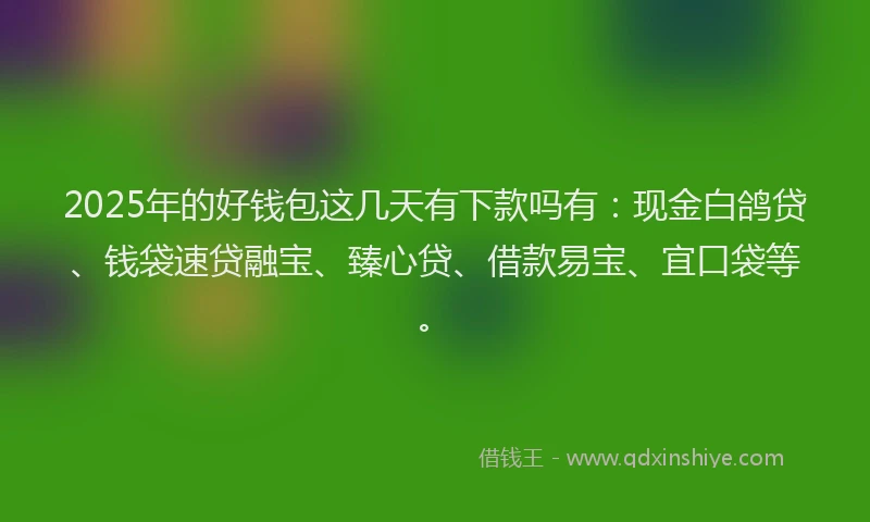 2025年的好钱包这几天有下款吗有：现金白鸽贷、钱袋速贷融宝、臻心贷、借款易宝、宜口袋等。