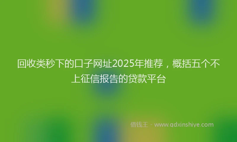 回收类秒下的口子网址2025年推荐，概括五个不上征信报告的贷款平台