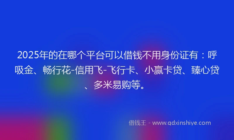 2025年的在哪个平台可以借钱不用身份证有：呼吸金、畅行花-信用飞-飞行卡、小赢卡贷、臻心贷、多米易购等。