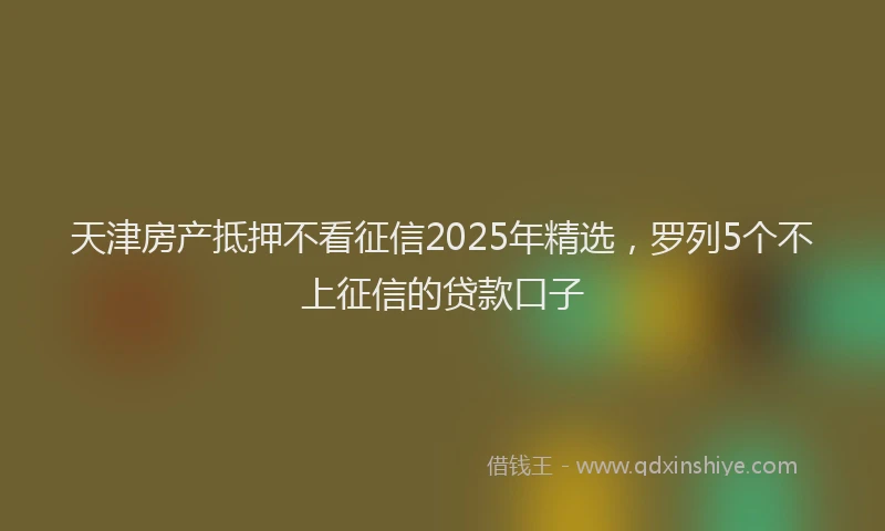 天津房产抵押不看征信2025年精选，罗列5个不上征信的贷款口子