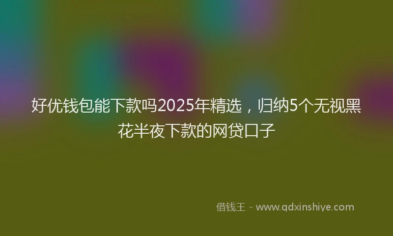 好优钱包能下款吗2025年精选，归纳5个无视黑花半夜下款的网贷口子