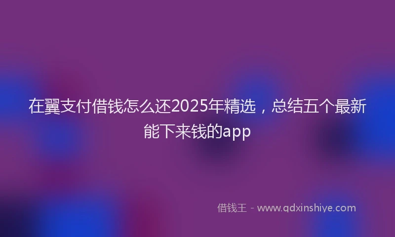 在翼支付借钱怎么还2025年精选，总结五个最新能下来钱的app