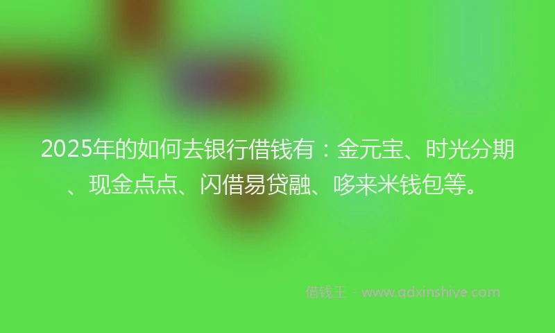 2025年的如何去银行借钱有：金元宝、时光分期、现金点点、闪借易贷融、哆来米钱包等。