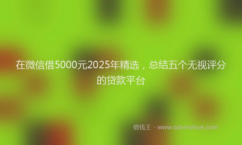 在微信借5000元2025年精选，总结五个无视评分的贷款平台