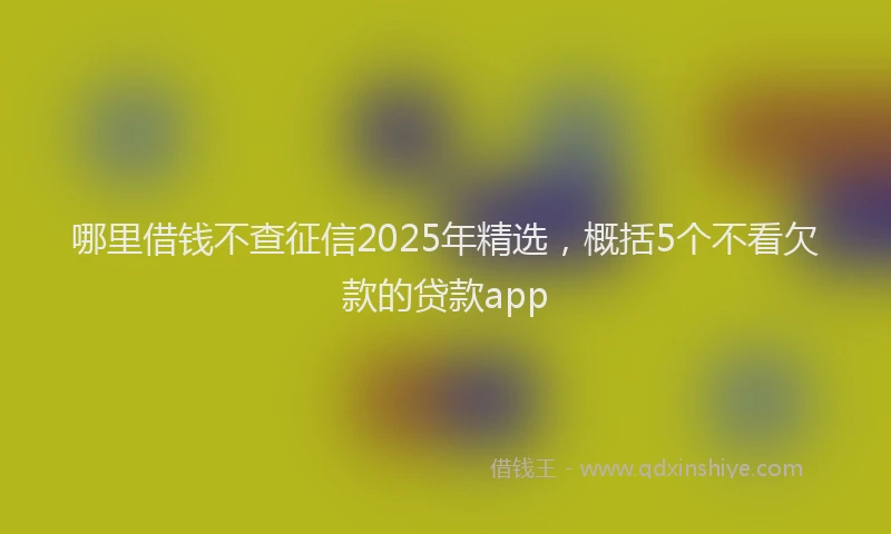 哪里借钱不查征信2025年精选，概括5个不看欠款的贷款app