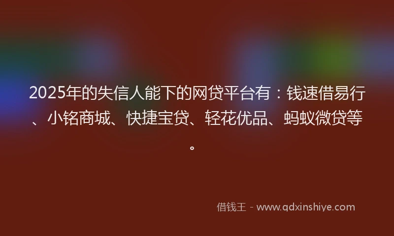 2025年的失信人能下的网贷平台有：钱速借易行、小铭商城、快捷宝贷、轻花优品、蚂蚁微贷等。