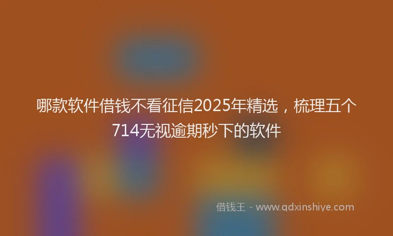 哪款软件借钱不看征信2025年精选，梳理五个714无视逾期秒下的软件