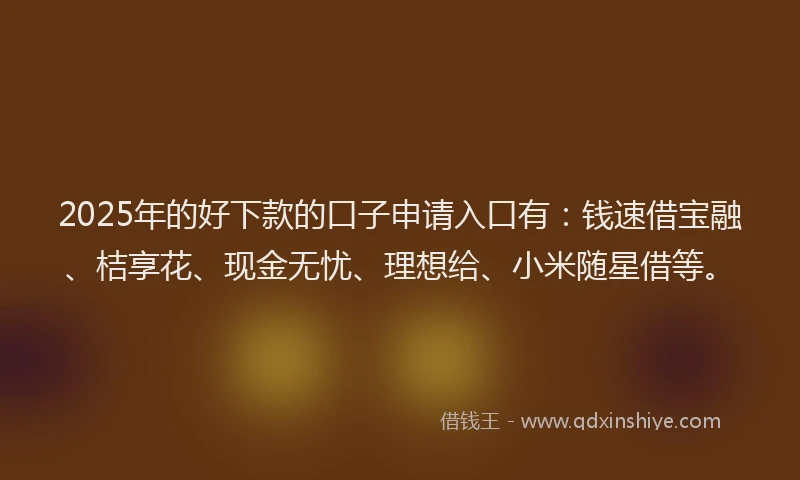 2025年的好下款的口子申请入口有：钱速借宝融、桔享花、现金无忧、理想给、小米随星借等。