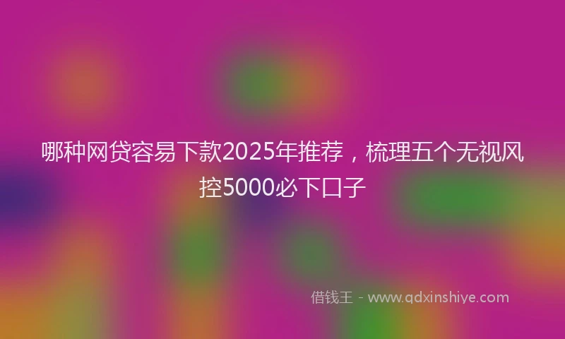 哪种网贷容易下款2025年推荐，梳理五个无视风控5000必下口子