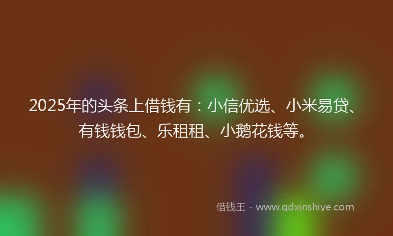 2025年的头条上借钱有：小信优选、小米易贷、有钱钱包、乐租租、小鹅花钱等。