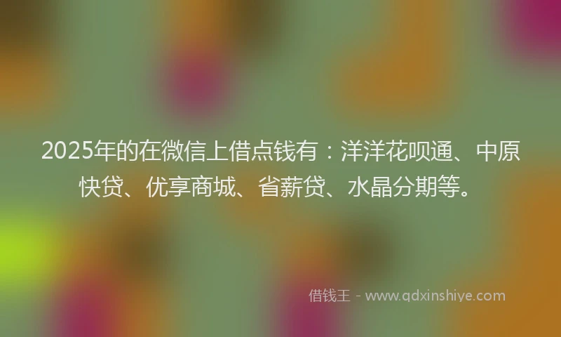 2025年的在微信上借点钱有：洋洋花呗通、中原快贷、优享商城、省薪贷、水晶分期等。
