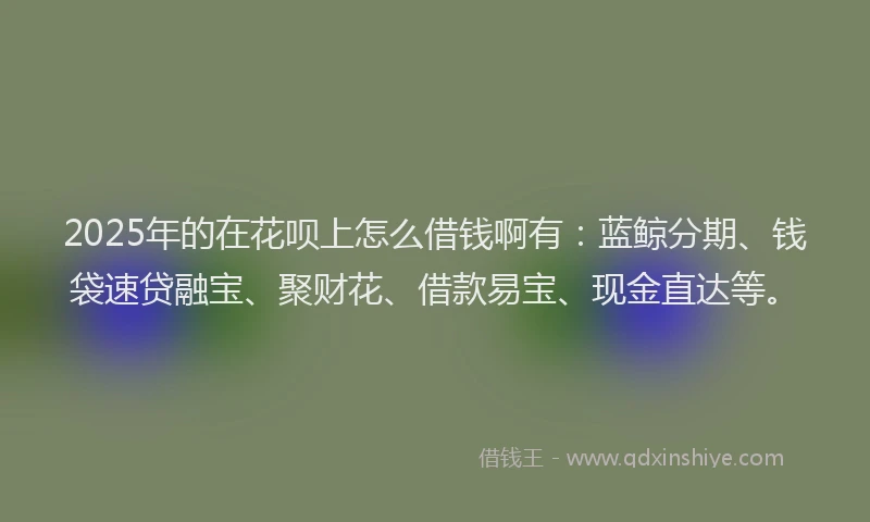 2025年的在花呗上怎么借钱啊有：蓝鲸分期、钱袋速贷融宝、聚财花、借款易宝、现金直达等。