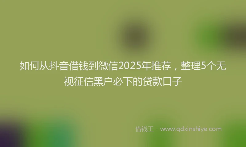 如何从抖音借钱到微信2025年推荐，整理5个无视征信黑户必下的贷款口子