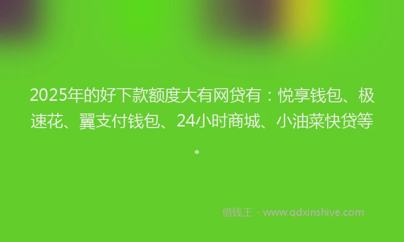 2025年的好下款额度大有网贷有：悦享钱包、极速花、翼支付钱包、24小时商城、小油菜快贷等。