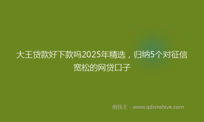 大王贷款好下款吗2025年精选，归纳5个对征信宽松的网贷口子