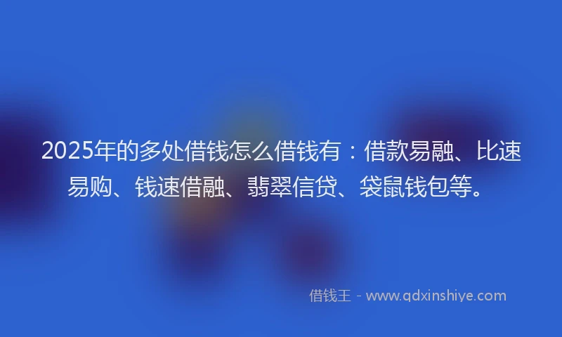 2025年的多处借钱怎么借钱有：借款易融、比速易购、钱速借融、翡翠信贷、袋鼠钱包等。