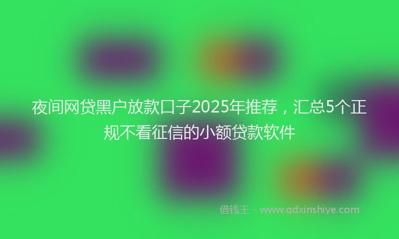夜间网贷黑户放款口子2025年推荐，汇总5个正规不看征信的小额贷款软件