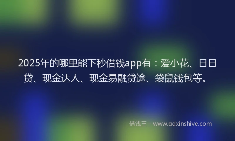 2025年的哪里能下秒借钱app有：爱小花、日日贷、现金达人、现金易融贷途、袋鼠钱包等。