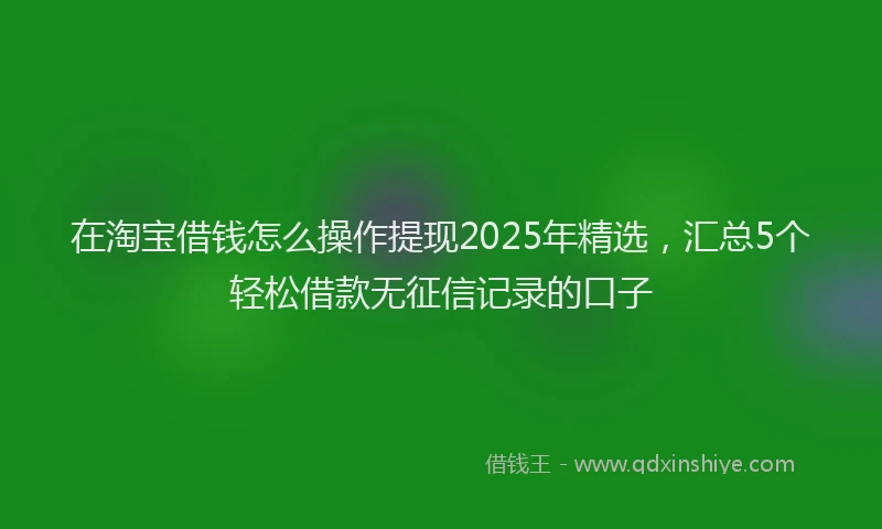 在淘宝借钱怎么操作提现2025年精选，汇总5个轻松借款无征信记录的口子