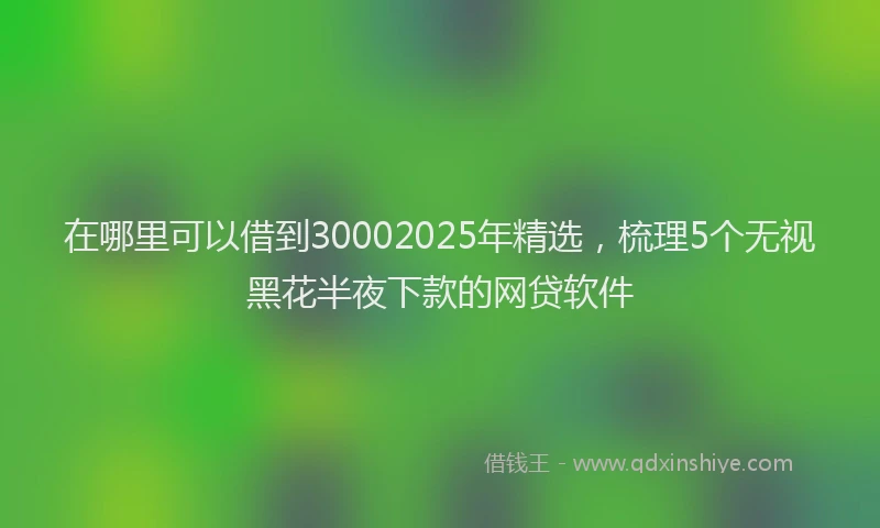 在哪里可以借到30002025年精选，梳理5个无视黑花半夜下款的网贷软件