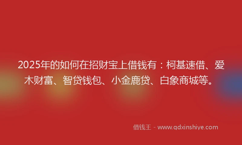 2025年的如何在招财宝上借钱有：柯基速借、爱木财富、智贷钱包、小金鹿贷、白象商城等。